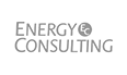 Energy Consulting
